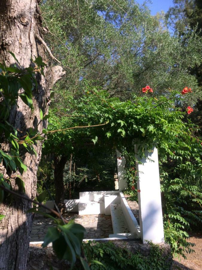 Alexandra Villas Γουβιά Εξωτερικό φωτογραφία