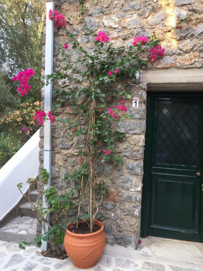 Alexandra Villas Γουβιά Εξωτερικό φωτογραφία