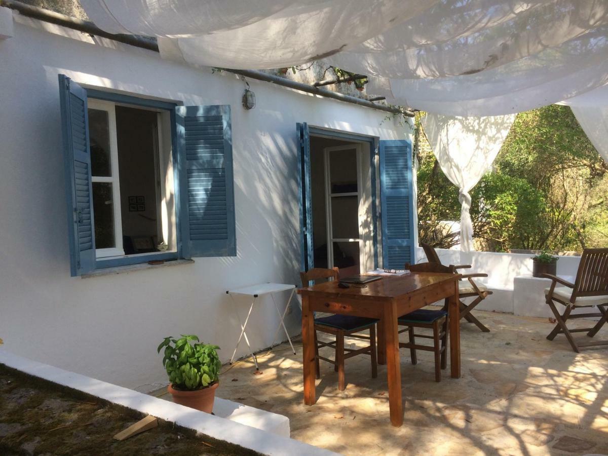 Alexandra Villas Γουβιά Εξωτερικό φωτογραφία